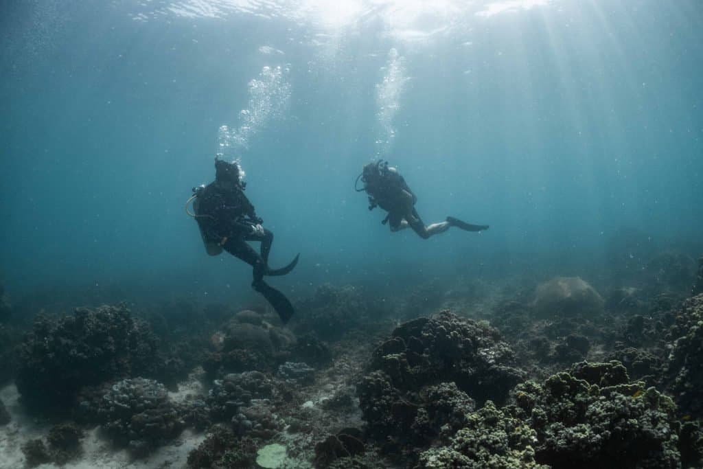 What beginners Should Know About Scuba Diving Katy Jane Dives KatyJaneDives
