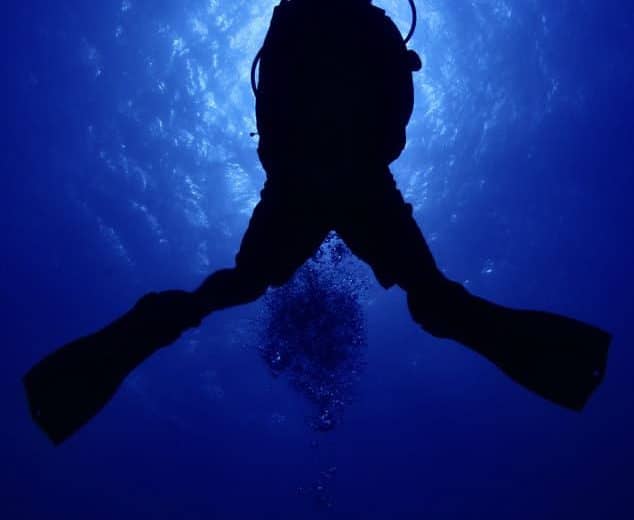 Liveaboard in Belize