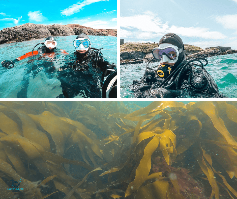 photos of green and yellow kelp underwater, scuba divers at surface