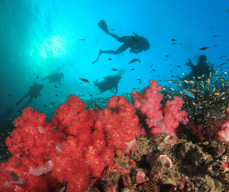 coral reef and blue waters with scuba diver shadows in distance