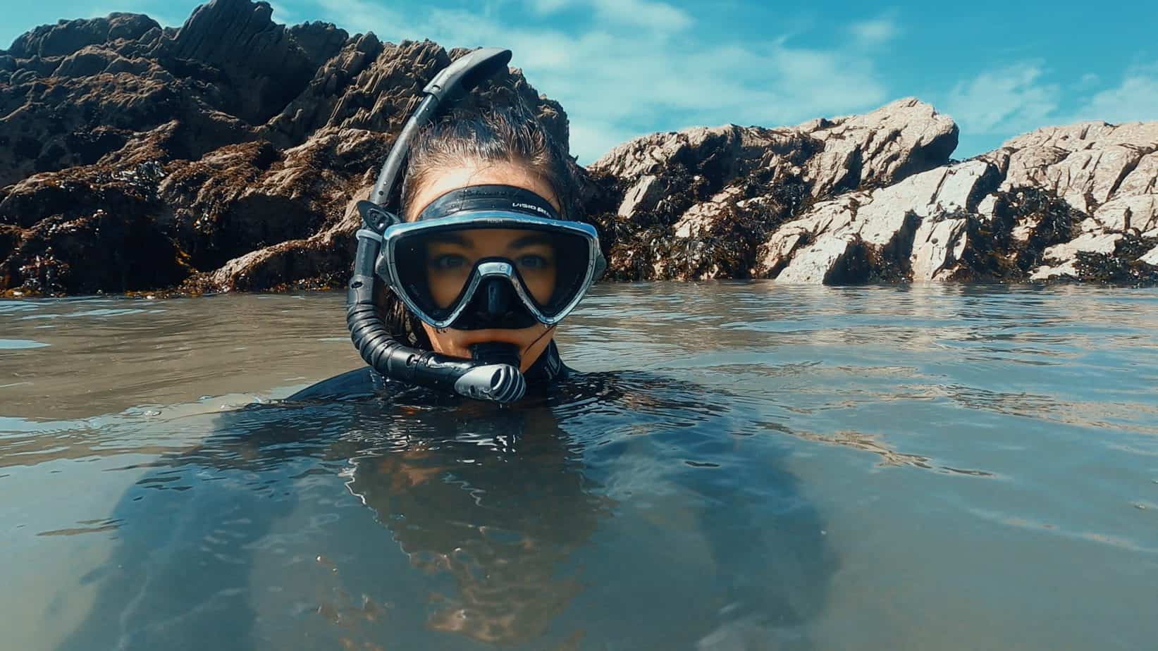 Tusa Visio Pro Dive Mask