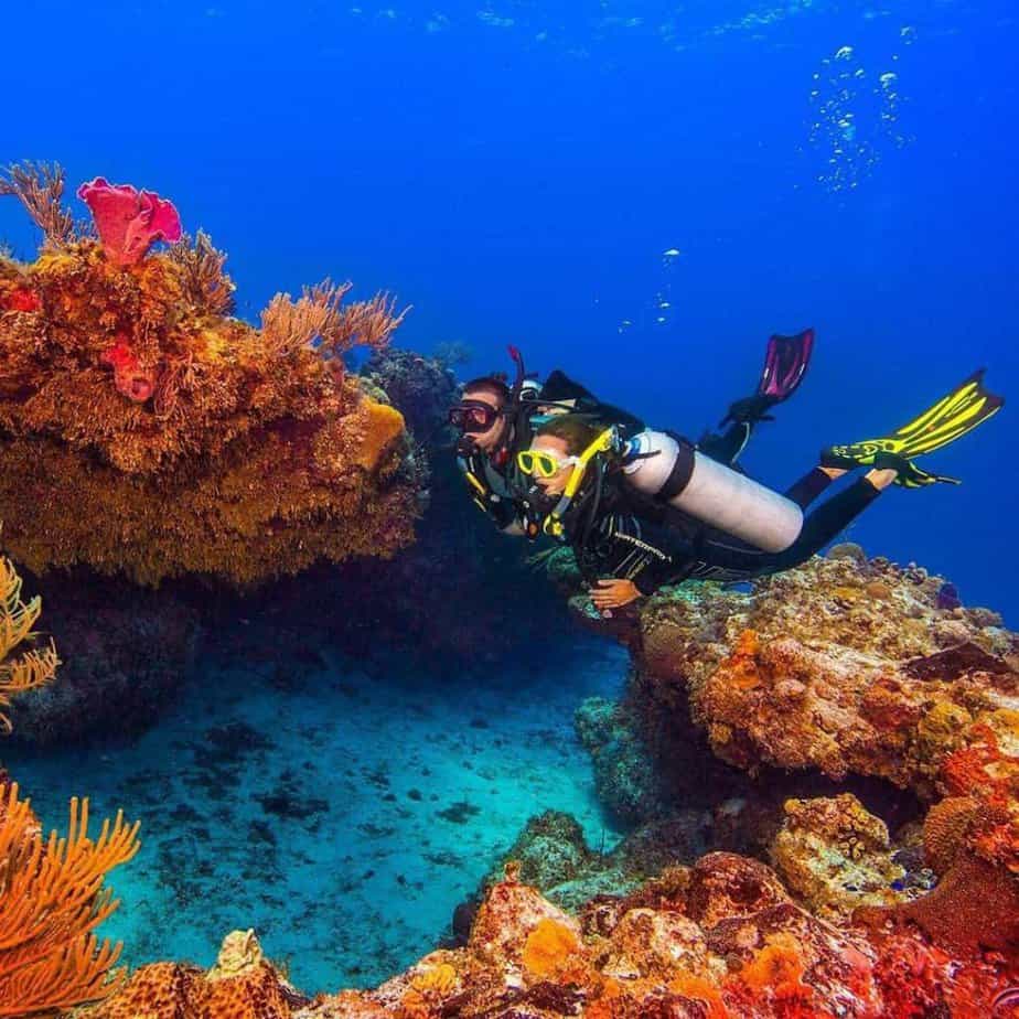 Tusa Hyflex Switch Fins Review [A PADI Instructor’s Test] Katy Jane