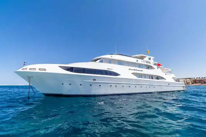 Seawolf Dominator Liveaboard