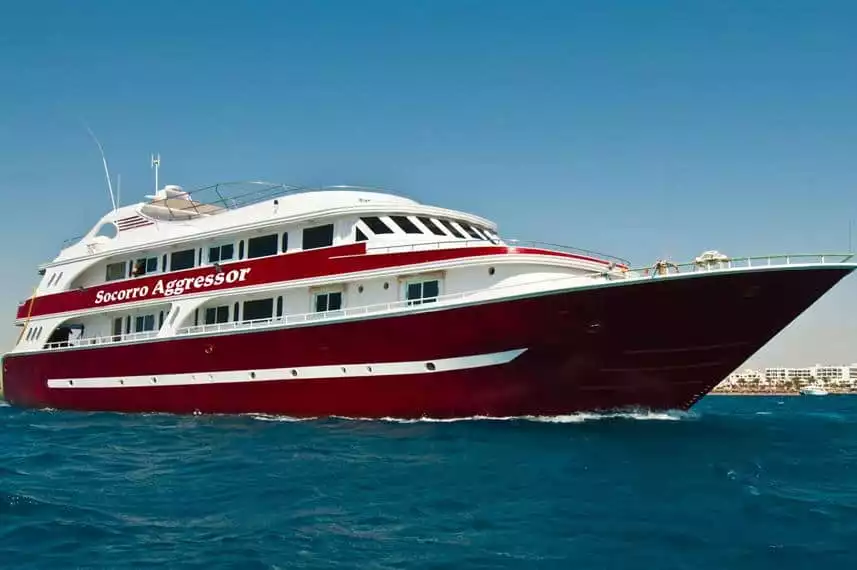 Cassiopeia (Socorro Aggressor) Liveaboard