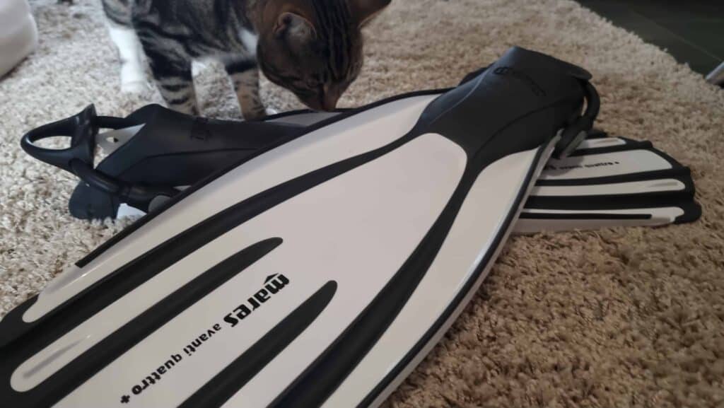 white and black mares fins on floor