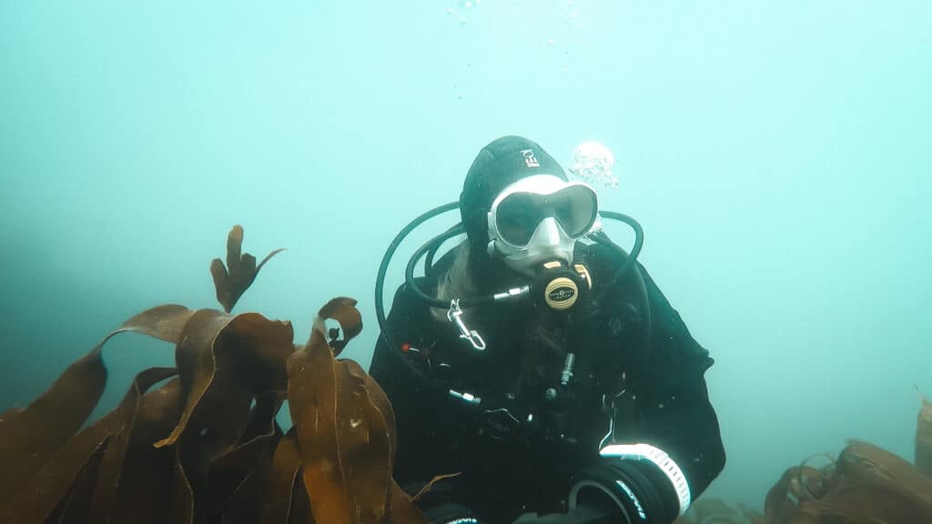 Scuba diver underwater with green background and brown leaves