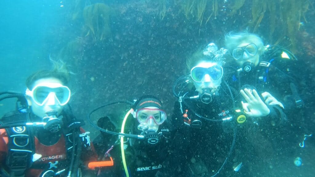 four scuba divers underwater