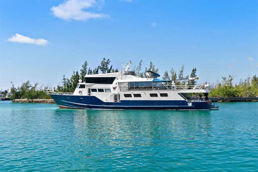 Bahamas Master in the ocean liveaboard