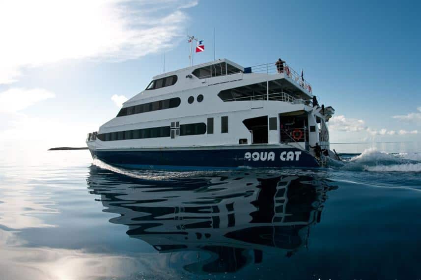 AquaCat Liveaboard Review