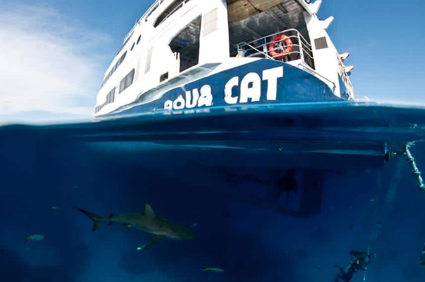 aquacat liveaboard bahamas