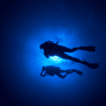 Scuba diving calories