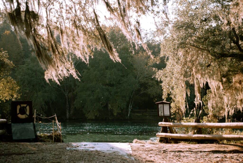 Florida freshwater springs