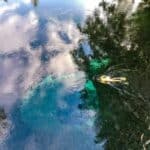 Florida freshwater springs best dive sites