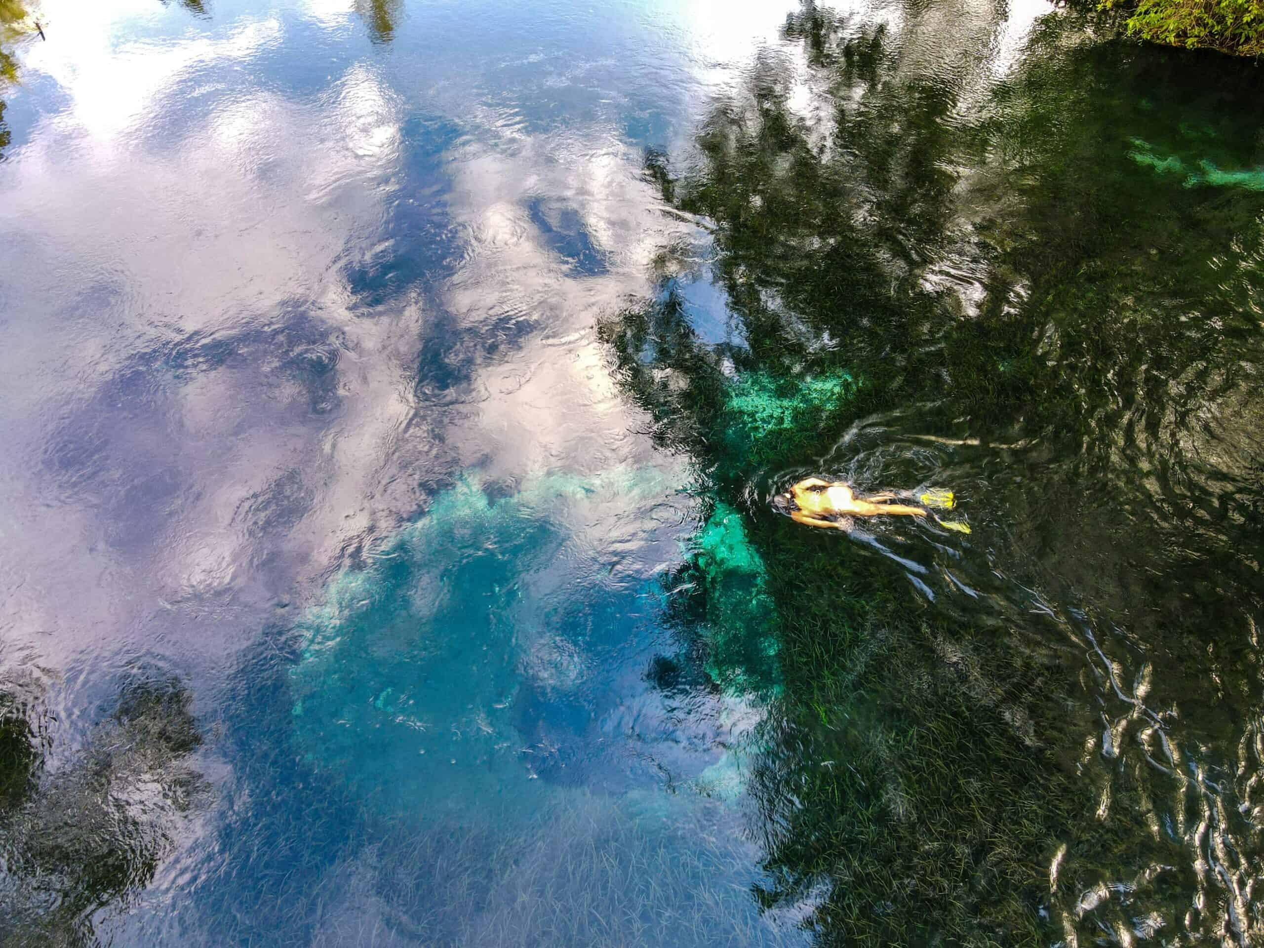 Florida freshwater springs best dive sites