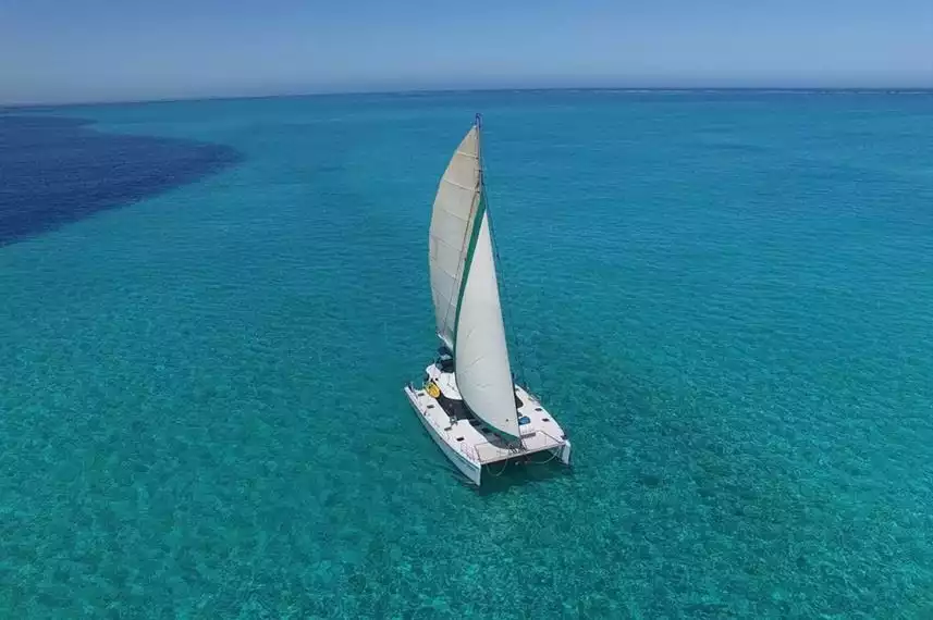Shore Thing Catamaran