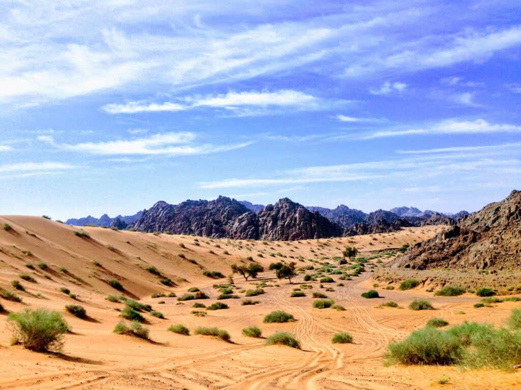 Saudi Arabia desert liveaboard
