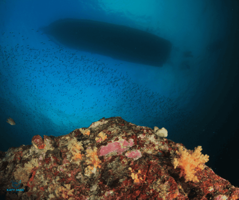 underwater coral and rocks with blue ocean background and shadow of boat