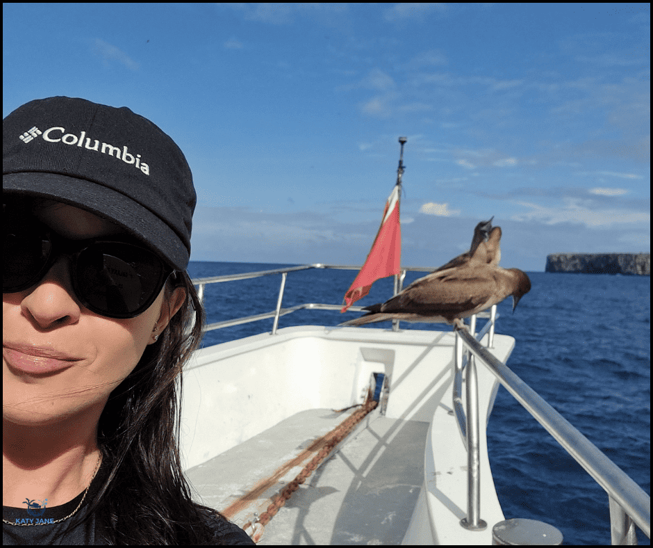 person standing on bow of boat with birds