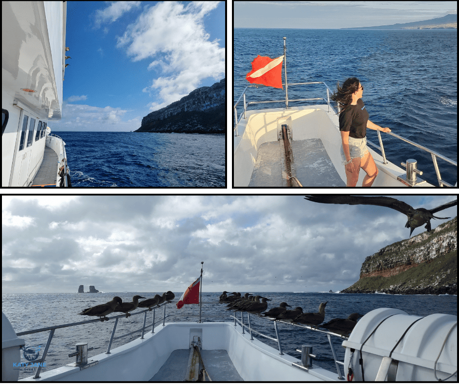 photos of boat and birds with ocean and rocks