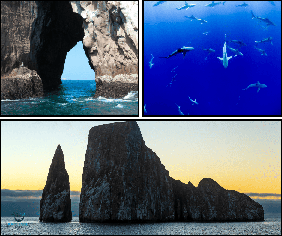 photo of rocky islands with blue water and sharks