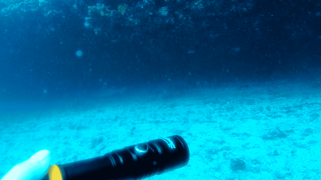 orca torch underwater with sand and blue