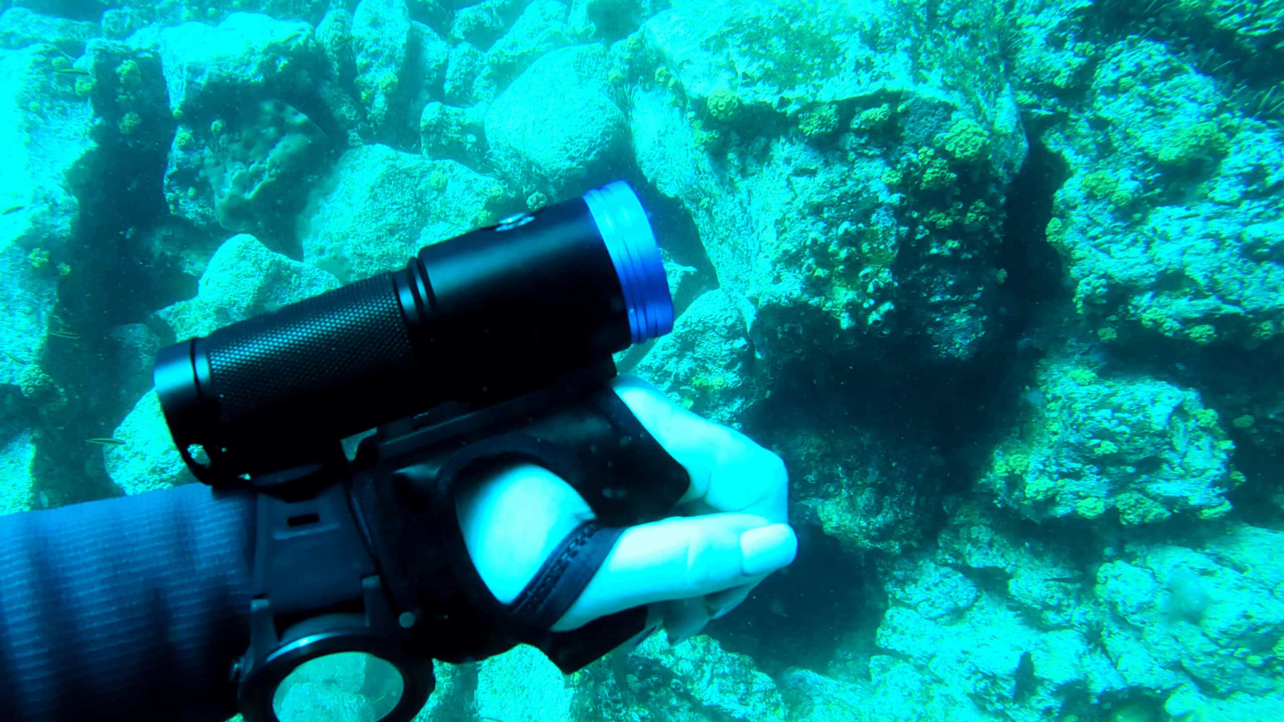Torch on hand underwater with coral in the background