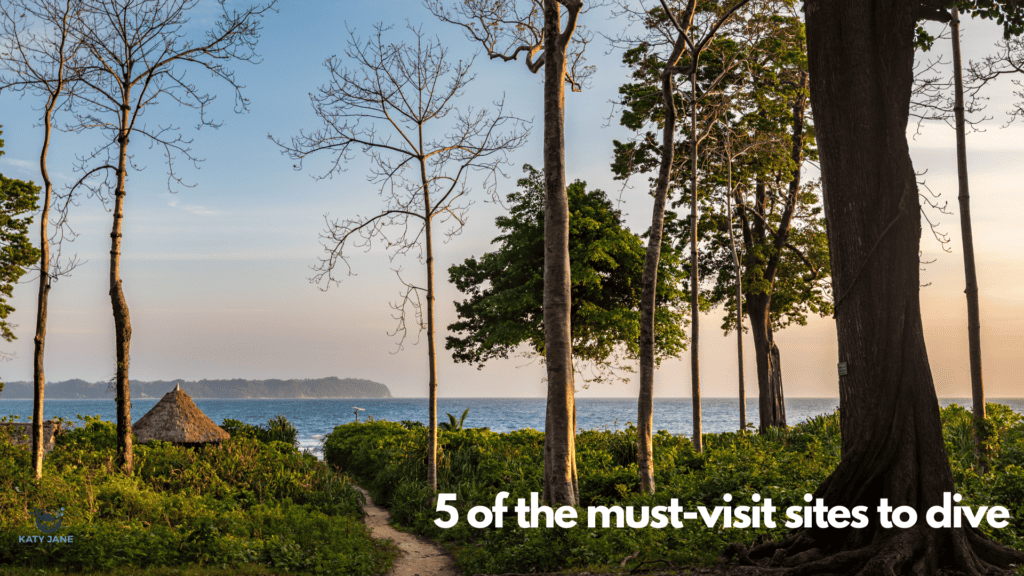 view looking out from trees onto a tropical coastline and blue ocean with island in distance