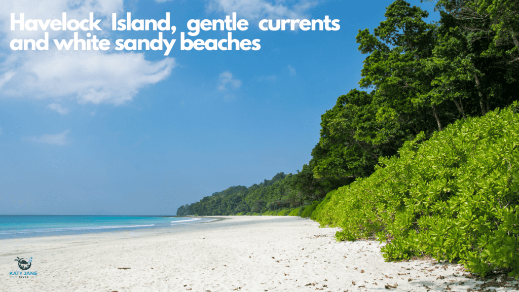 white sandy beach with green lush trees and turquoise waters