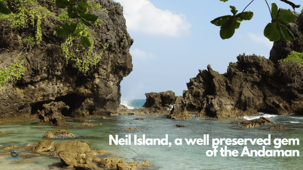 photo of a rocky cove with clear water and splashing waves with green vegetation on rocks