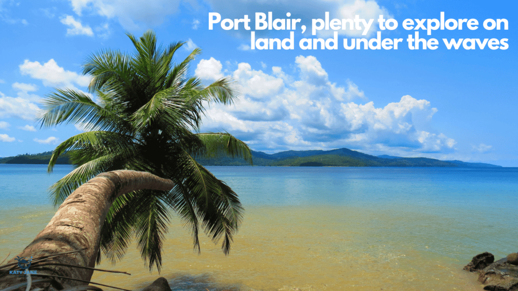 fallen palm tree hanging over the sandy water with large island in distance and blue skies