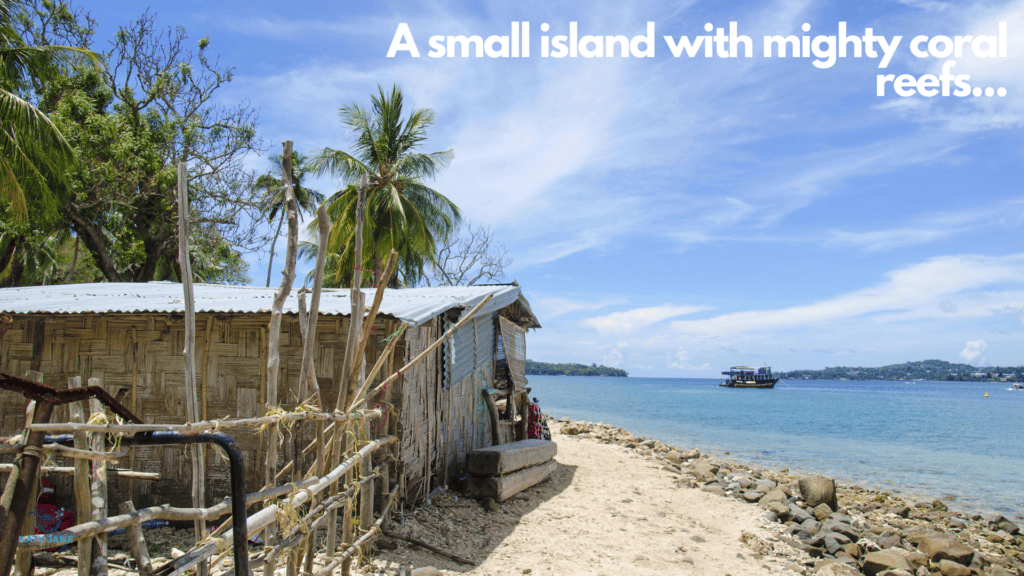 wooden hut on tropical beach with clear blue waters and blue skies and palm trees