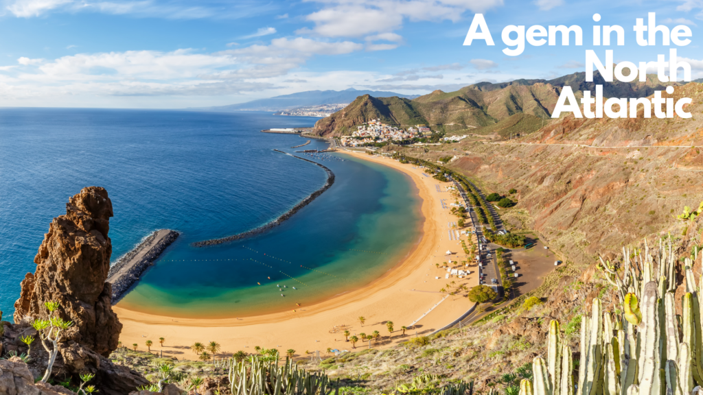 coastline view of Canary Islands with golden sands, cactus plants, deep blue sea and blue skies