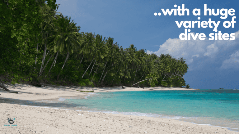 white sandy beach with green palm trees lining it and turquoise clear ocean water